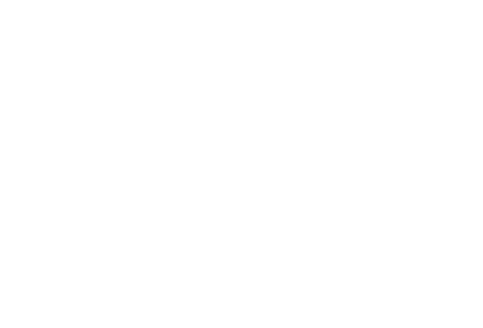 Amicus Marketing